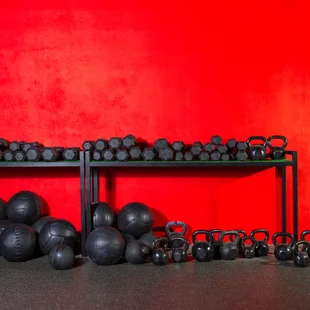 Fitnessclub - unterschiedliche Gewichte liegen auf einem Regal an einer Wand, die mit roter Glasfasertapete tapeziert ist.
